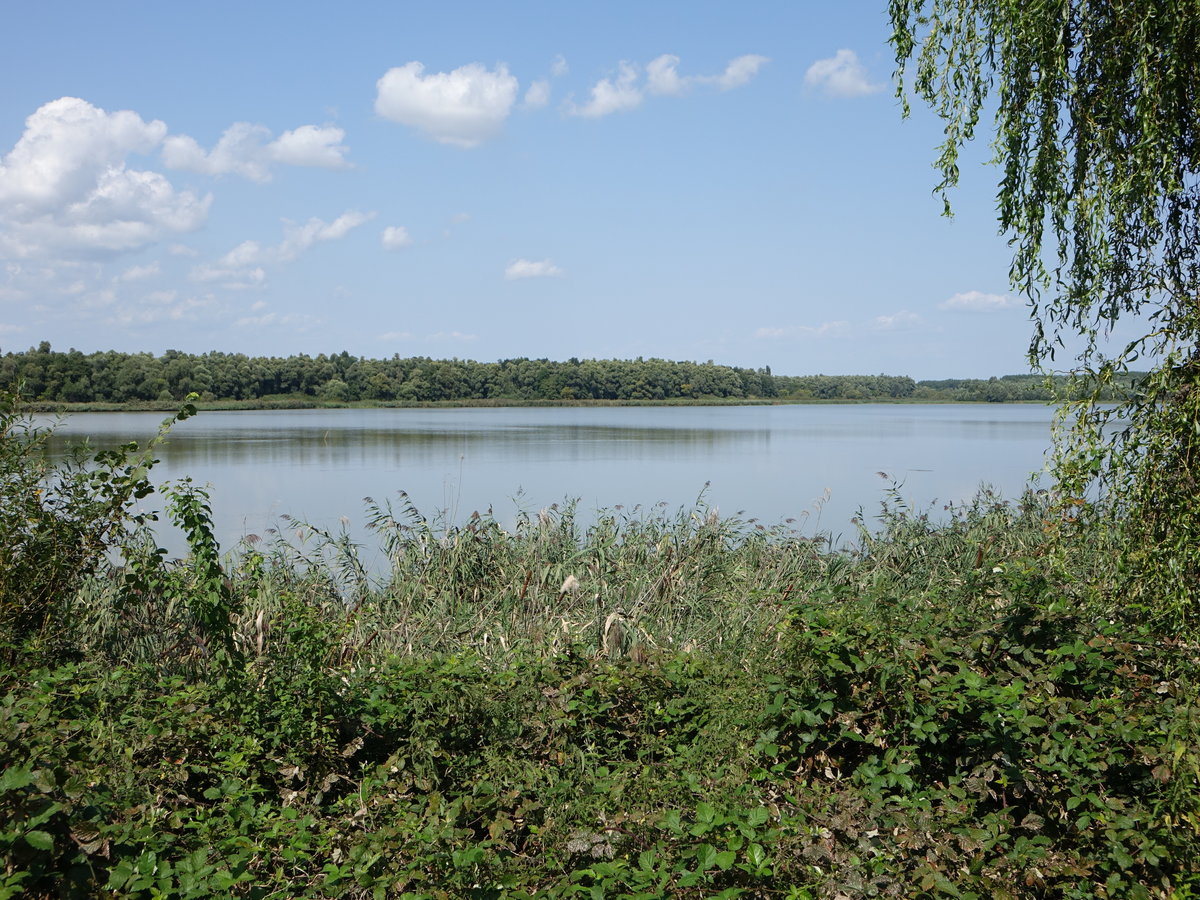 Feneki See bei Zalavar im Komitat Zala (29.08.2018)