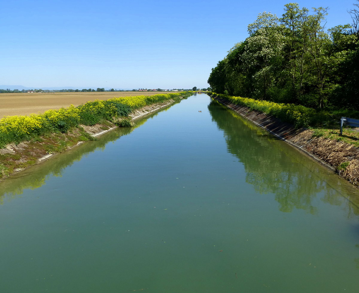 Fessenheim im Oberelsaß, Bewässerungskanal in der Rheinebene, Mai 2018 