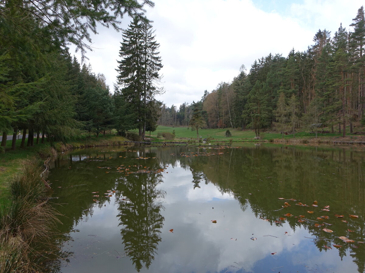 Fischteich an der Kreisstraße von Zillbach nach Windenhof (15.04.2022)