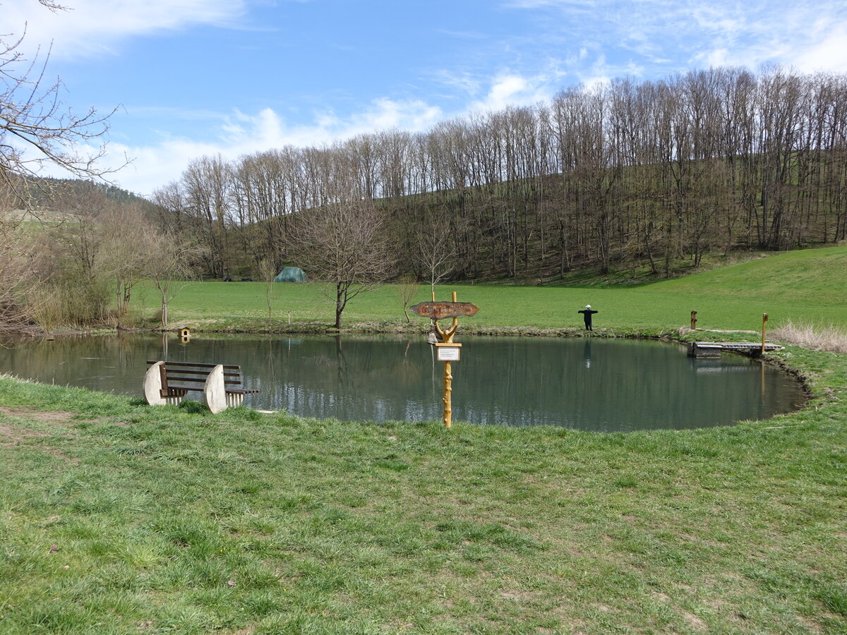 Fischteich bei Heilsberg, Landkreis Saalfeld-Rudolstadt (17.04.2022)