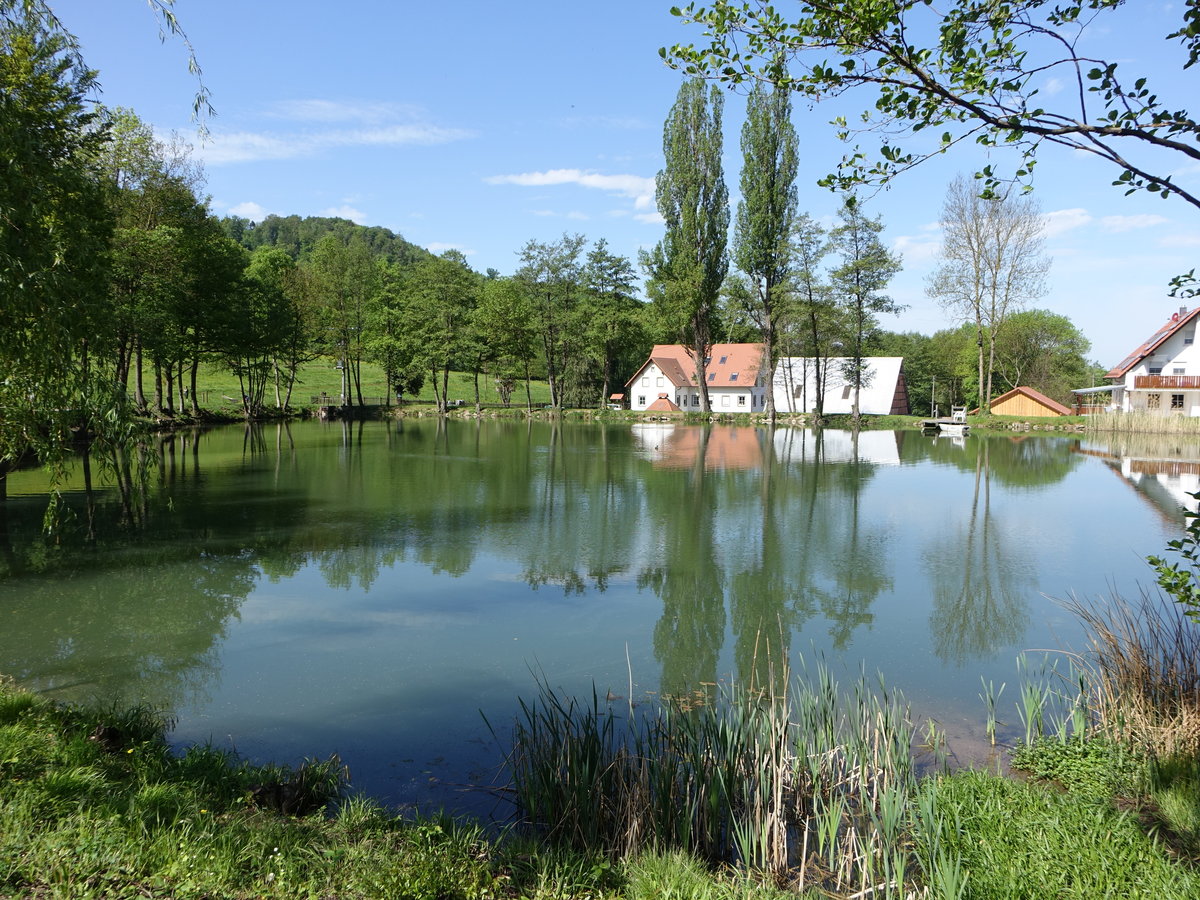 Fischweiher am Zisterzienserinnenkloster Lichtenstern (29.04.2018)