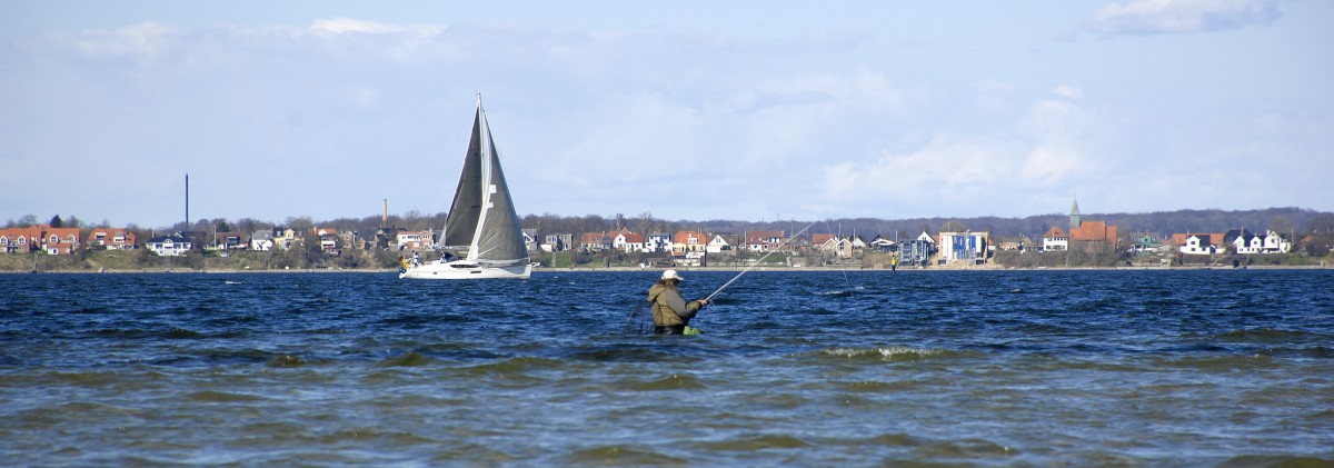 Flensburger Förde Richtung Dänemark. Aufnahmedatum: 4. April 2015.