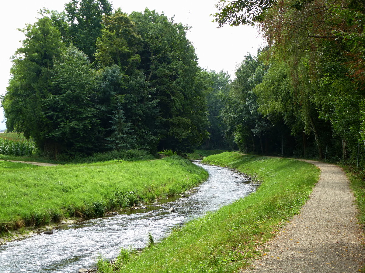 Flchen Neumagen vom Schwarzwald kommend, hier hinter Bad Krozingen, Aug.2017