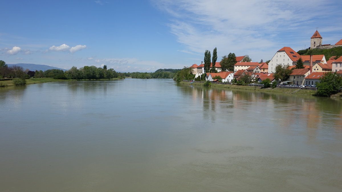 Fluss Drau bei Ptuj, Slowenien (04.05.2017)