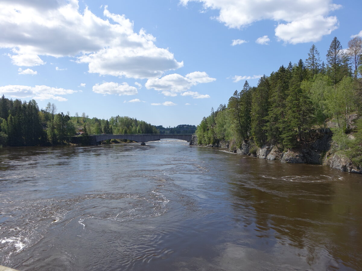 Fluss Glomma bei Spydeberg, Provinz Viken (21.05.2023)