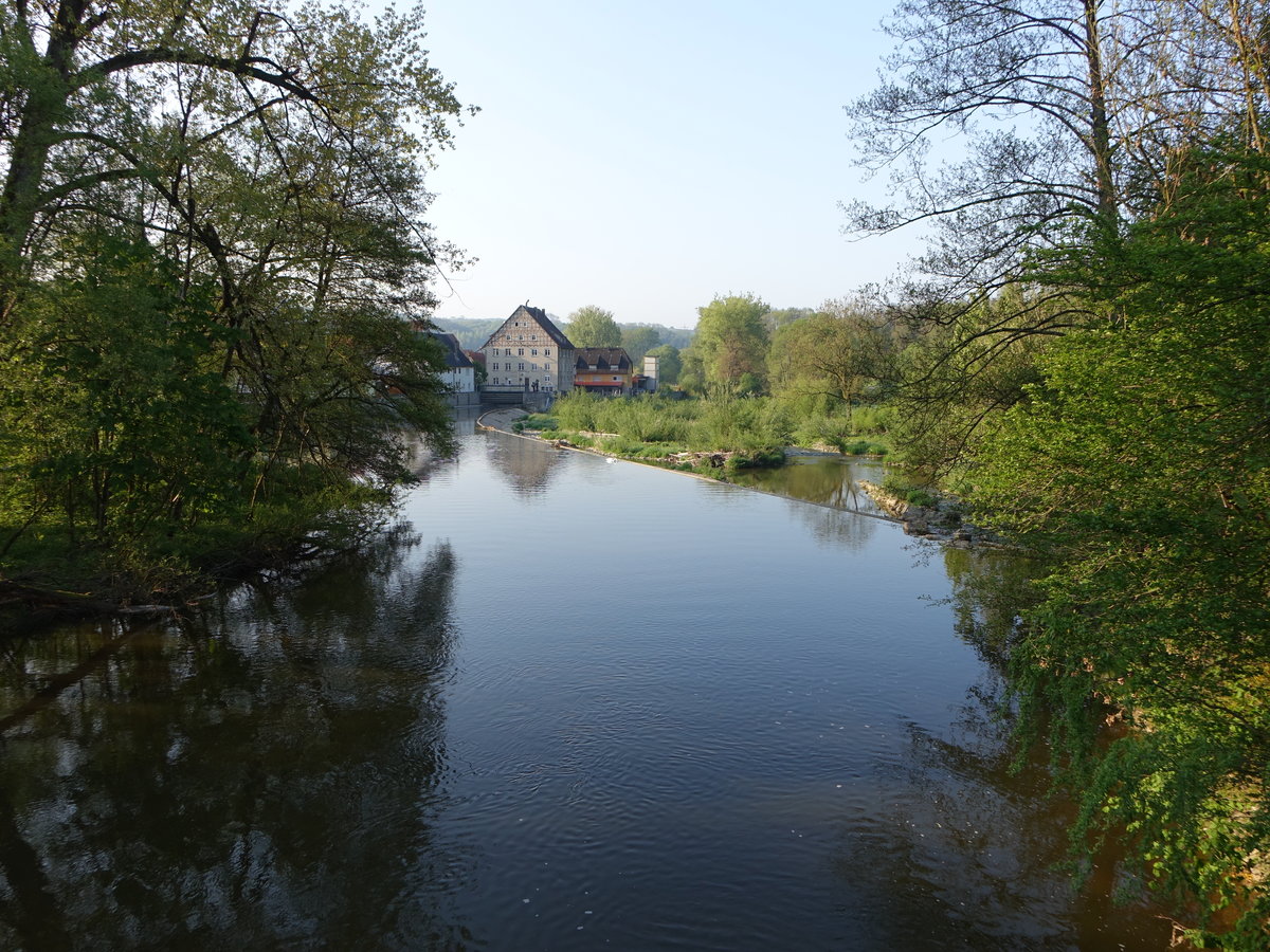 Fluss Jagst bei Berlichingen, Hohenlohekreis (01.05.2019)