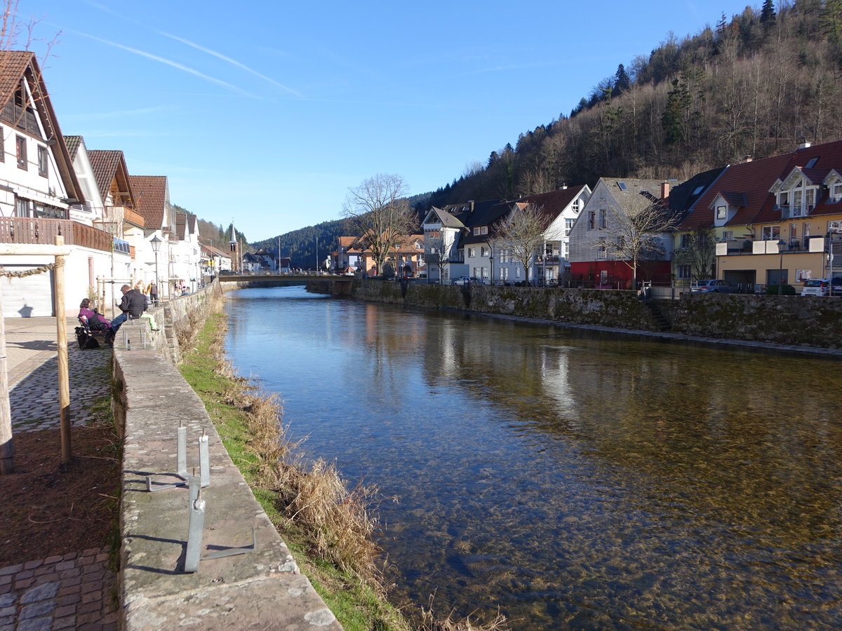 Fluss Kinzig bei Wolfach im Kinzigtal (24.02.2019)