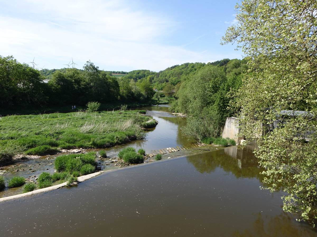 Fluss Kocher bei Sindringen, Hohenlohekreis (29.04.2018)