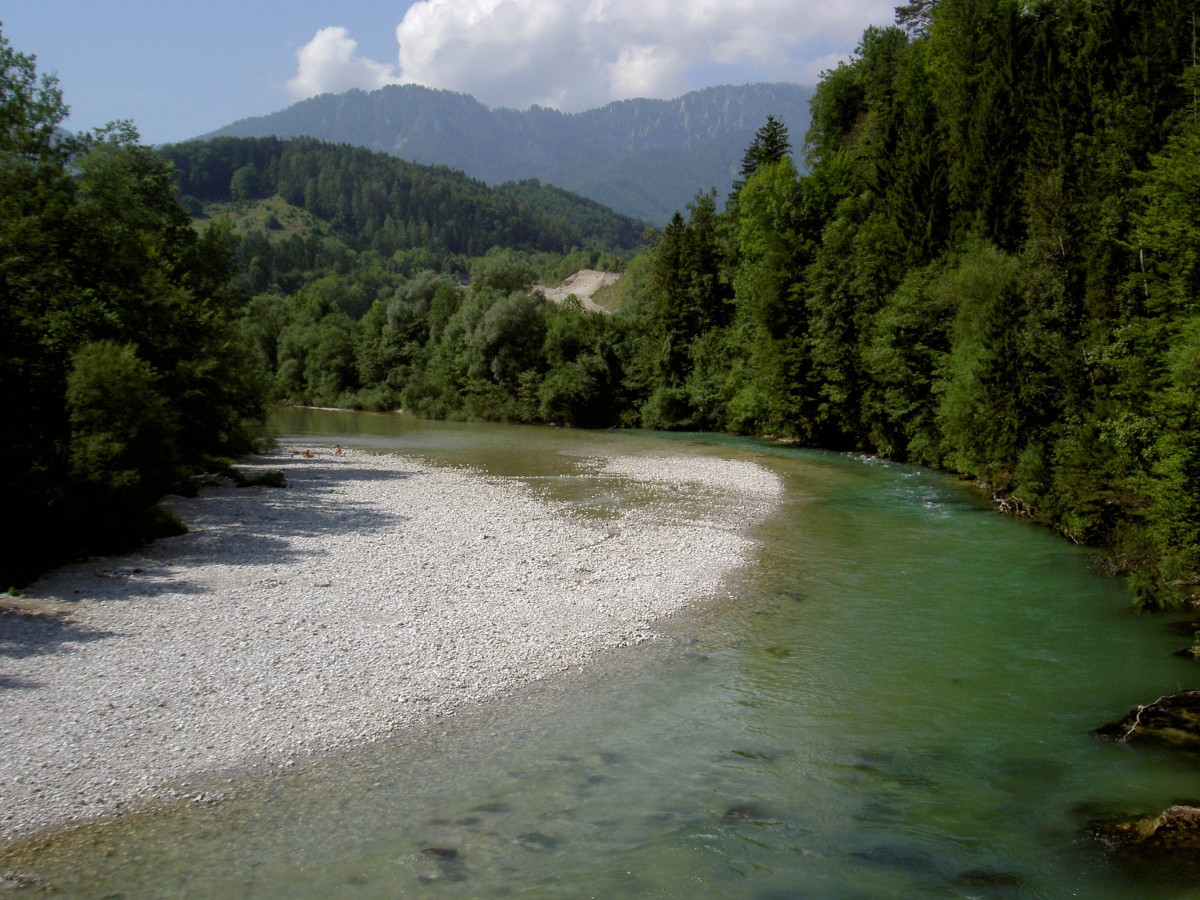 Fluss Krems bei Micheldorf im Kremstal (22.08.2013)