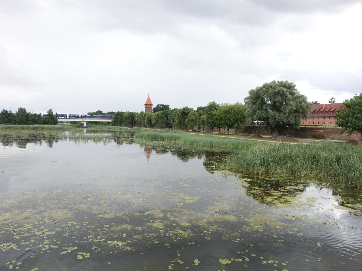 Fluss Nogat bei Malbork / Marienburg, Pommern (03.08.2021)