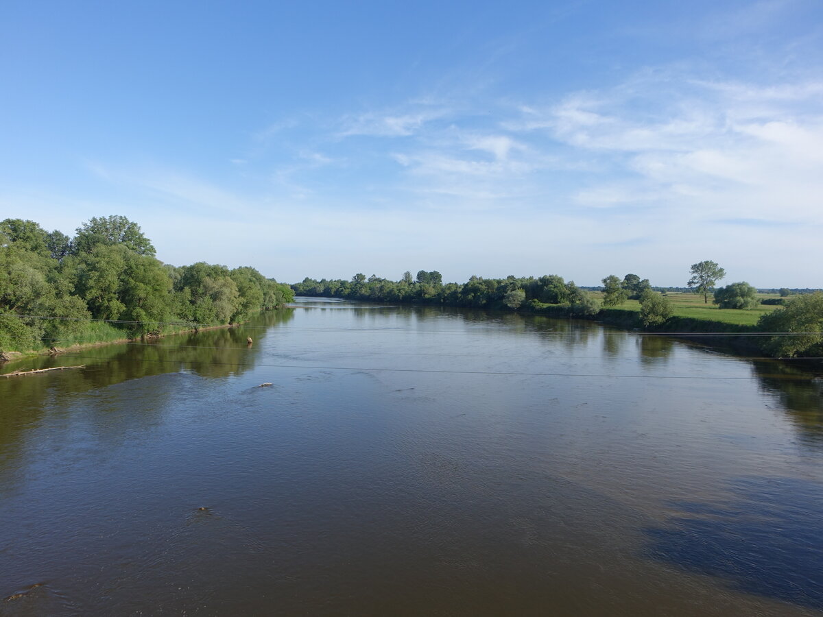 Fluss Son bei Krzeszow im Karpatenvorland (17.06.2021)