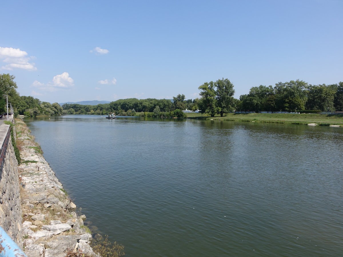 Fluss Waag bei Piestany im nördlichen Donauhügelland (29.08.2019)