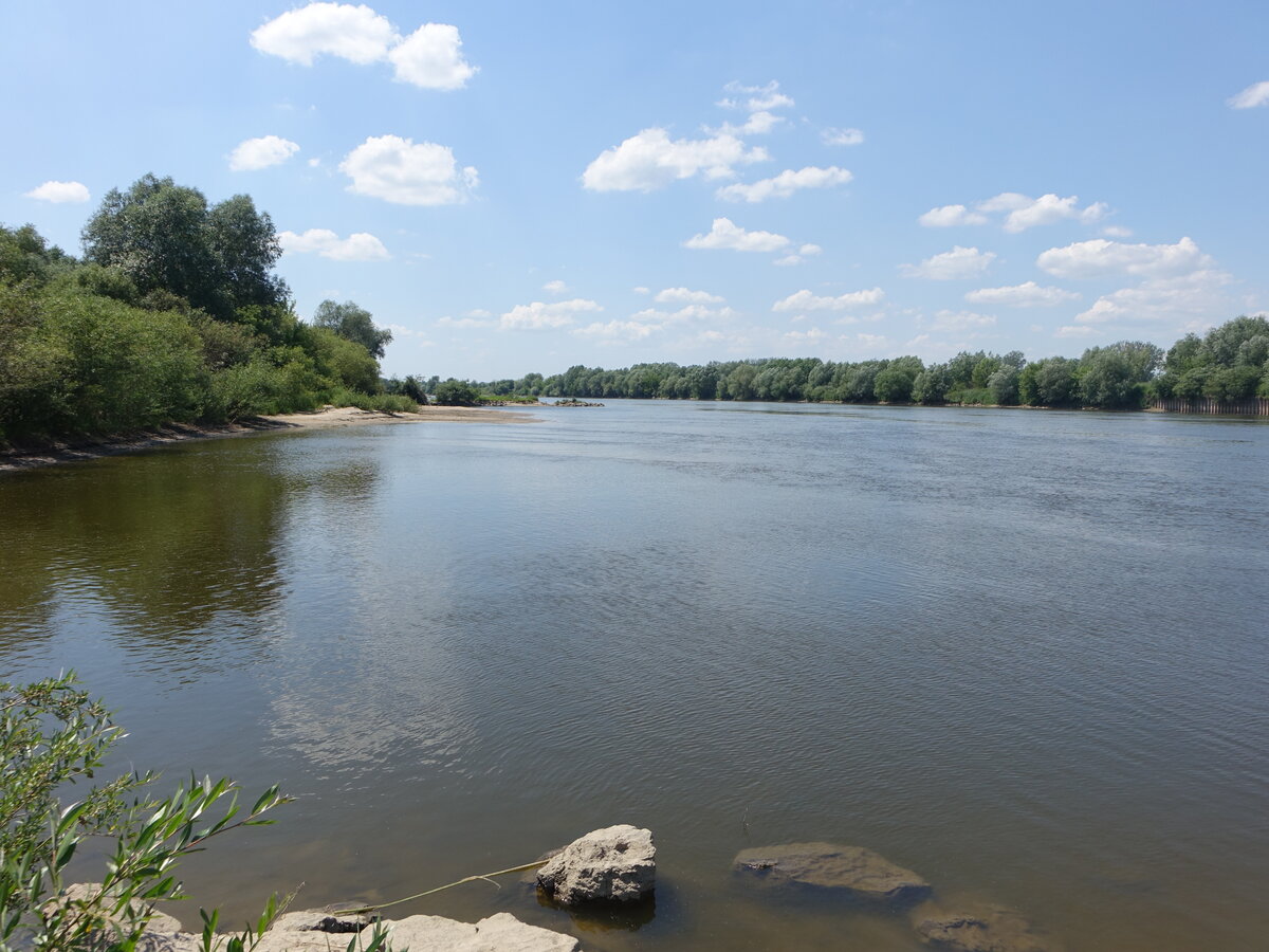 Fluss Weichsel bei Baranow, Karpatenvorland (18.06.2021)