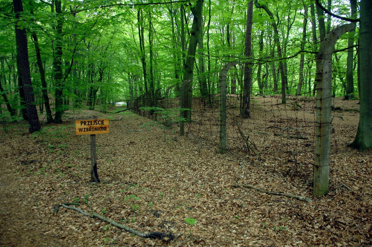 Formanlage im Nationalpark Wolin in Hinterpommern, Polen.

Aufnahmedatum: 23. Mai 2015.