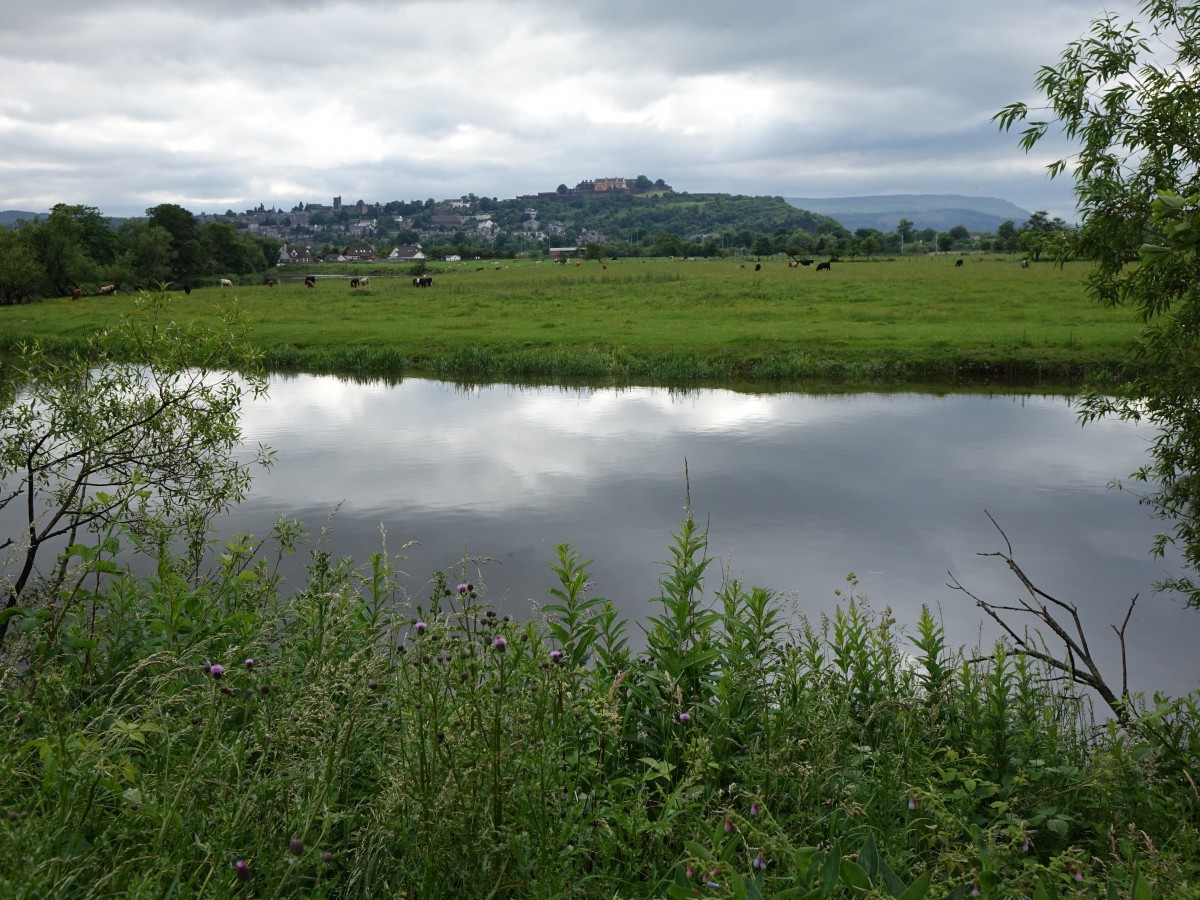 Forth River bei Stirling (04.07.2015)