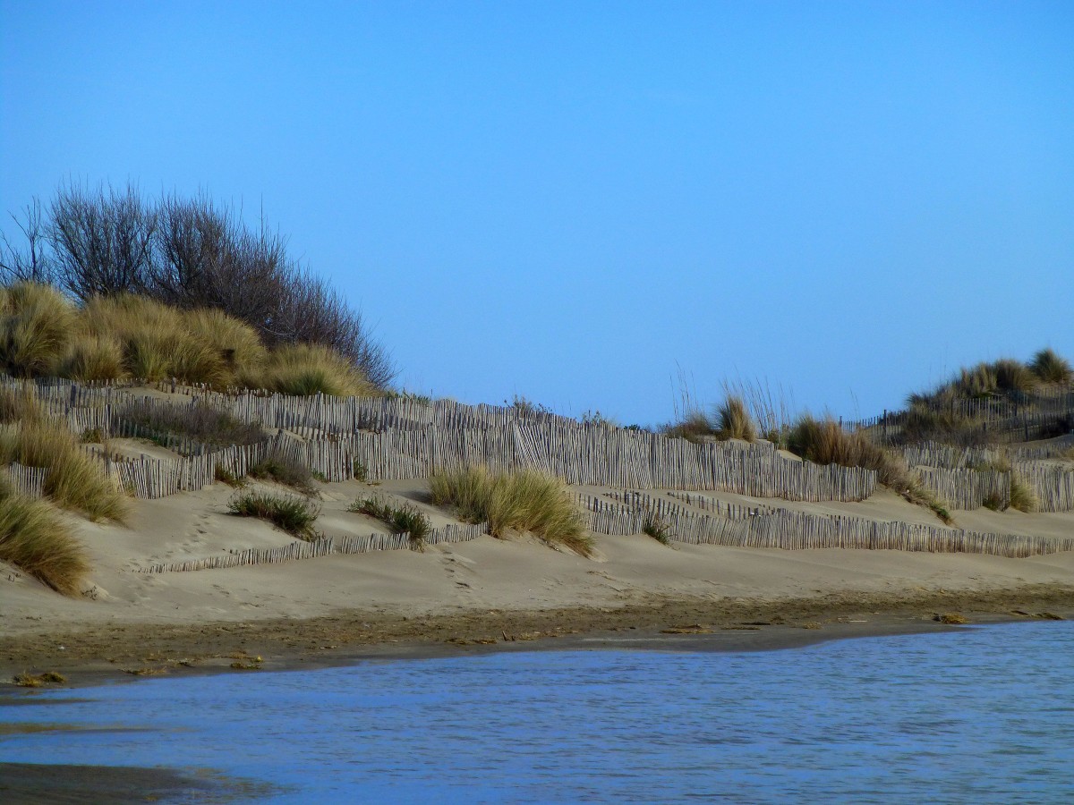 Frankreich, Languedoc, Gard, die Dünen an der Pointe de l'Espiguette bei le Grau du Roi. 11.02.2014