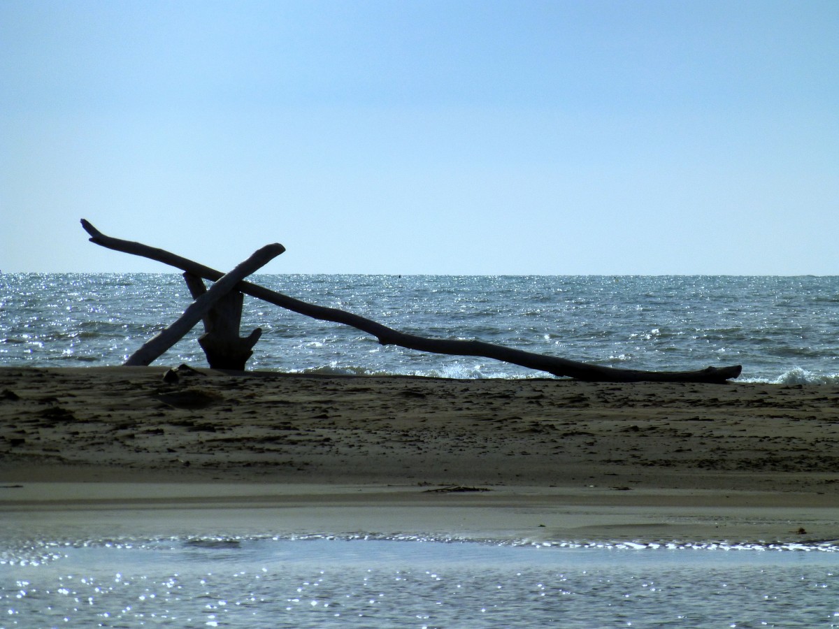 Frankreich, Languedoc, Gard, der Strand mit einem  Kunstwerk  an der Pointe de l'Espiguette bei le Grau du Roi. 11.02.2014