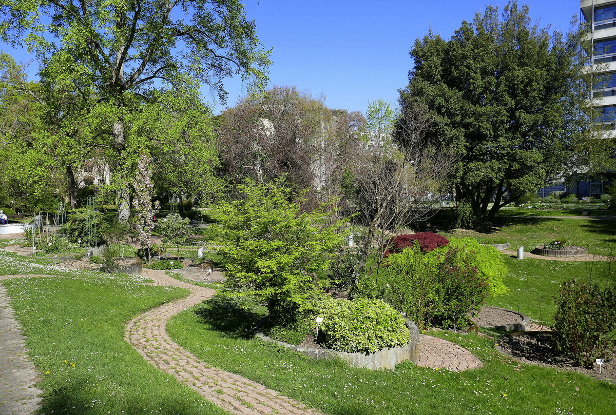 Freiburg, Frühling im Botanischen Garten, April 2022