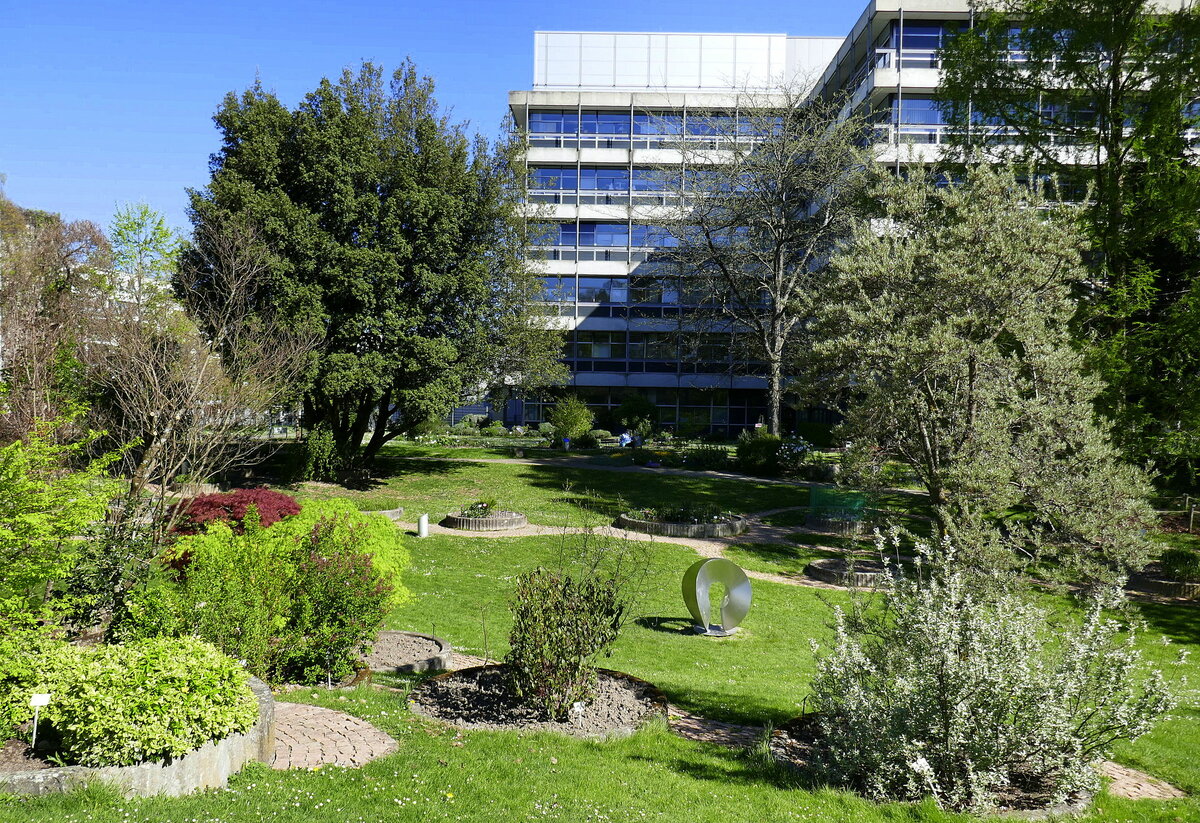 Freiburg, Frühling im Botanischen Garten, April 2022