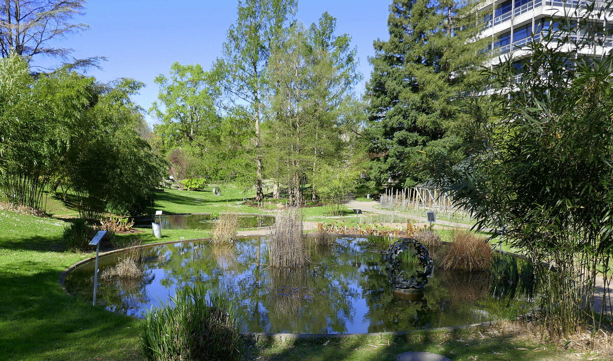 Freiburg, Frühling im Botanischen Garten, April 2022