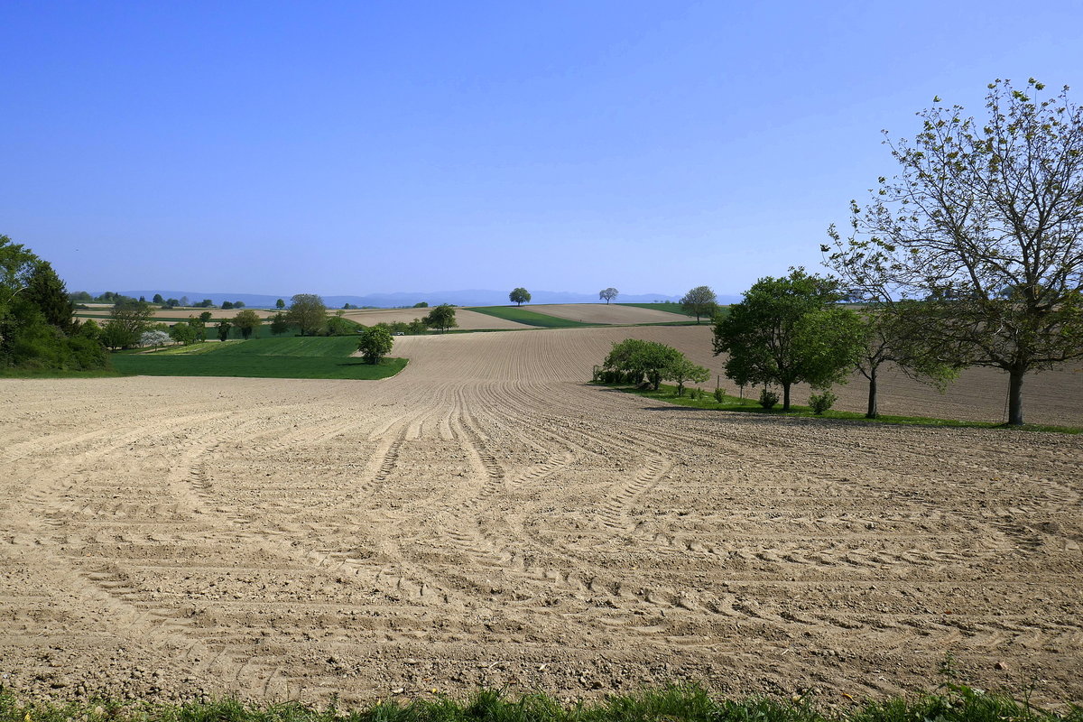 frisch bestellte Felder am Marchhügel im Breisgau, April 2020