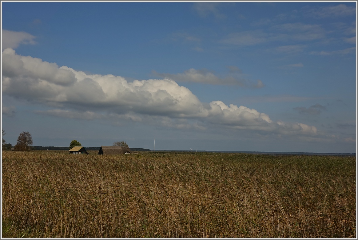 Frühherbstliche Landschaft am Saaler Bodden.
(25.09.2017)