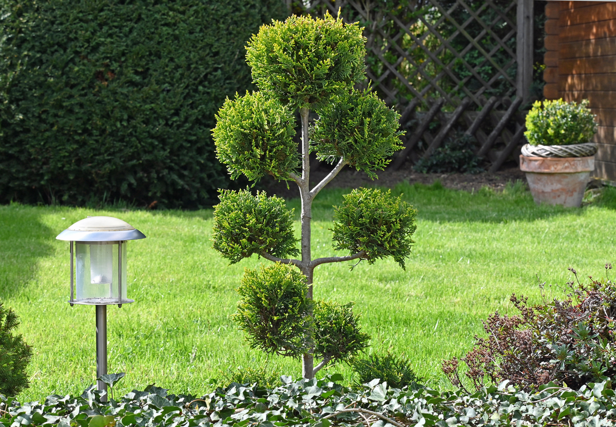 Frühjahr im Garten - 28.04.2023