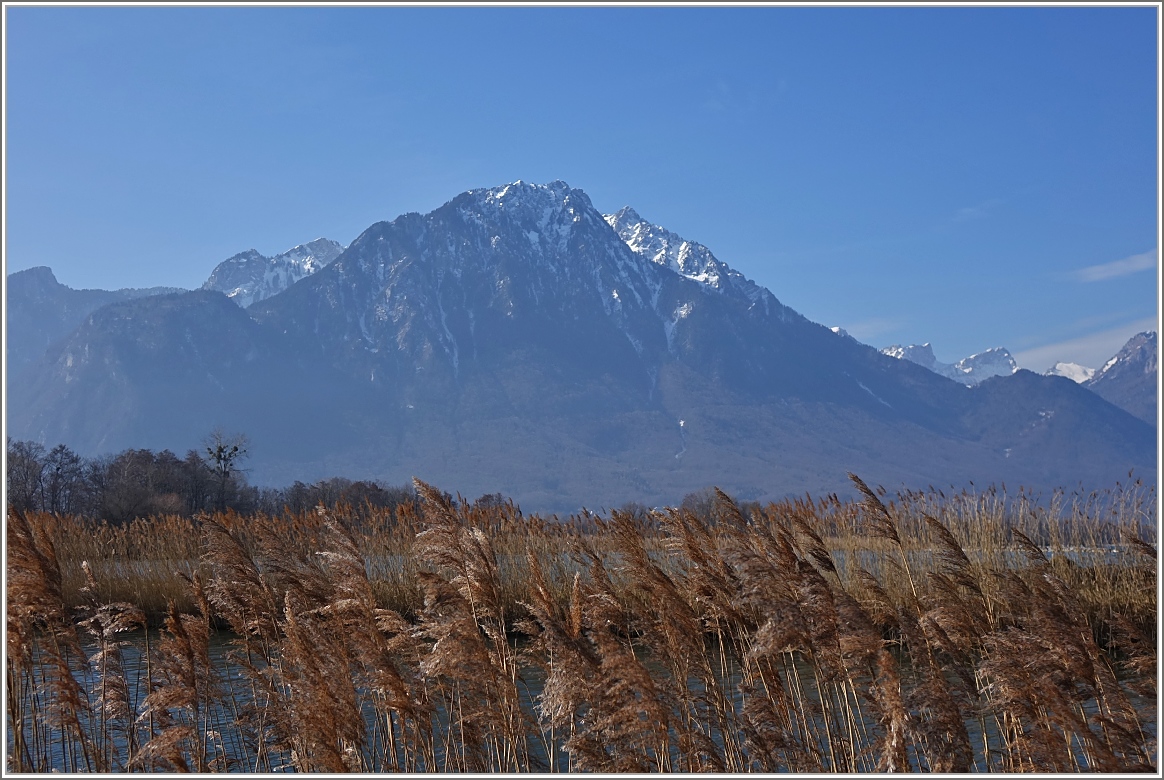 Frühjahrsstimmung im Naturschutzgebiet La Grangettes mit Blick auf den Grammont 
(2172 m.ü.M.).
(10.03.2015)