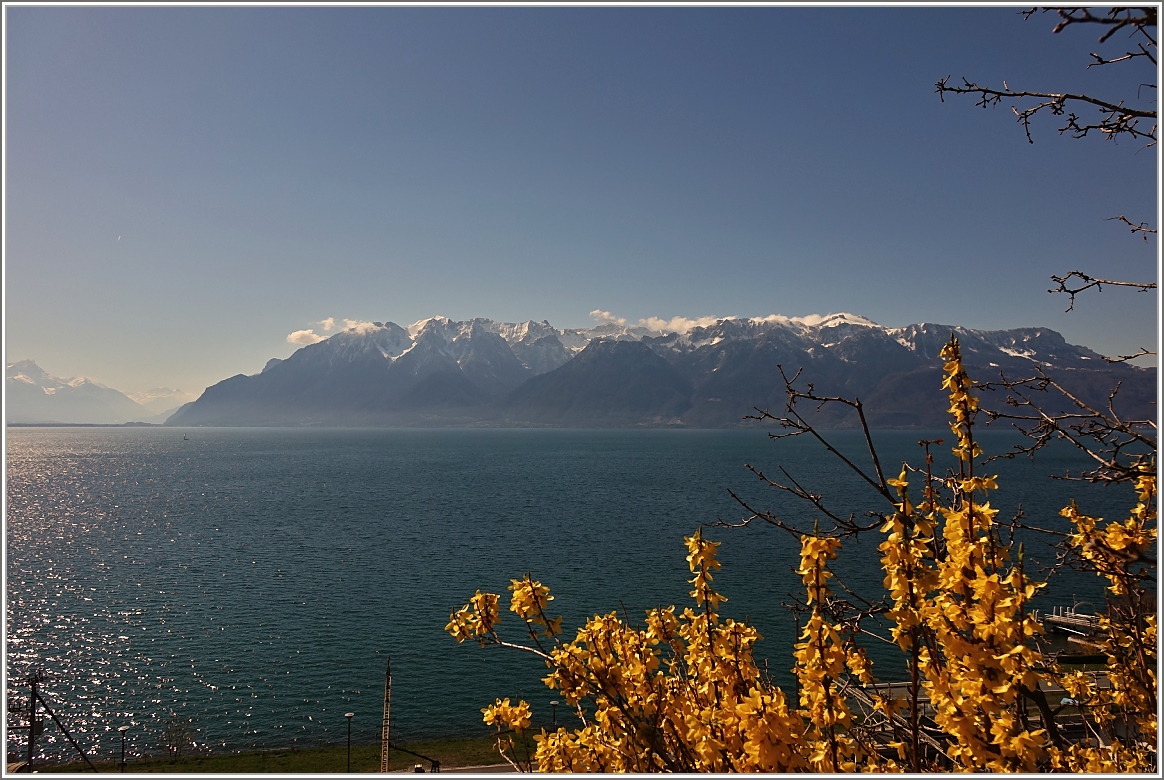 Frühling am Genfersee mit Blick vom Lavaux auf die Savoyer Alpen.
(06.04.2015)
