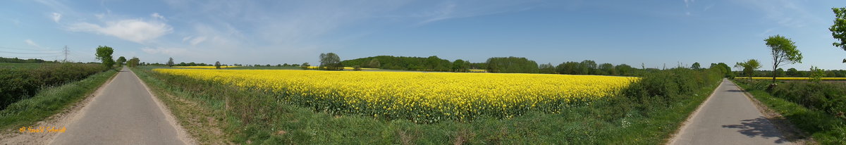 Frühling in der Feldmark Havighorst am 12.5.2016 /