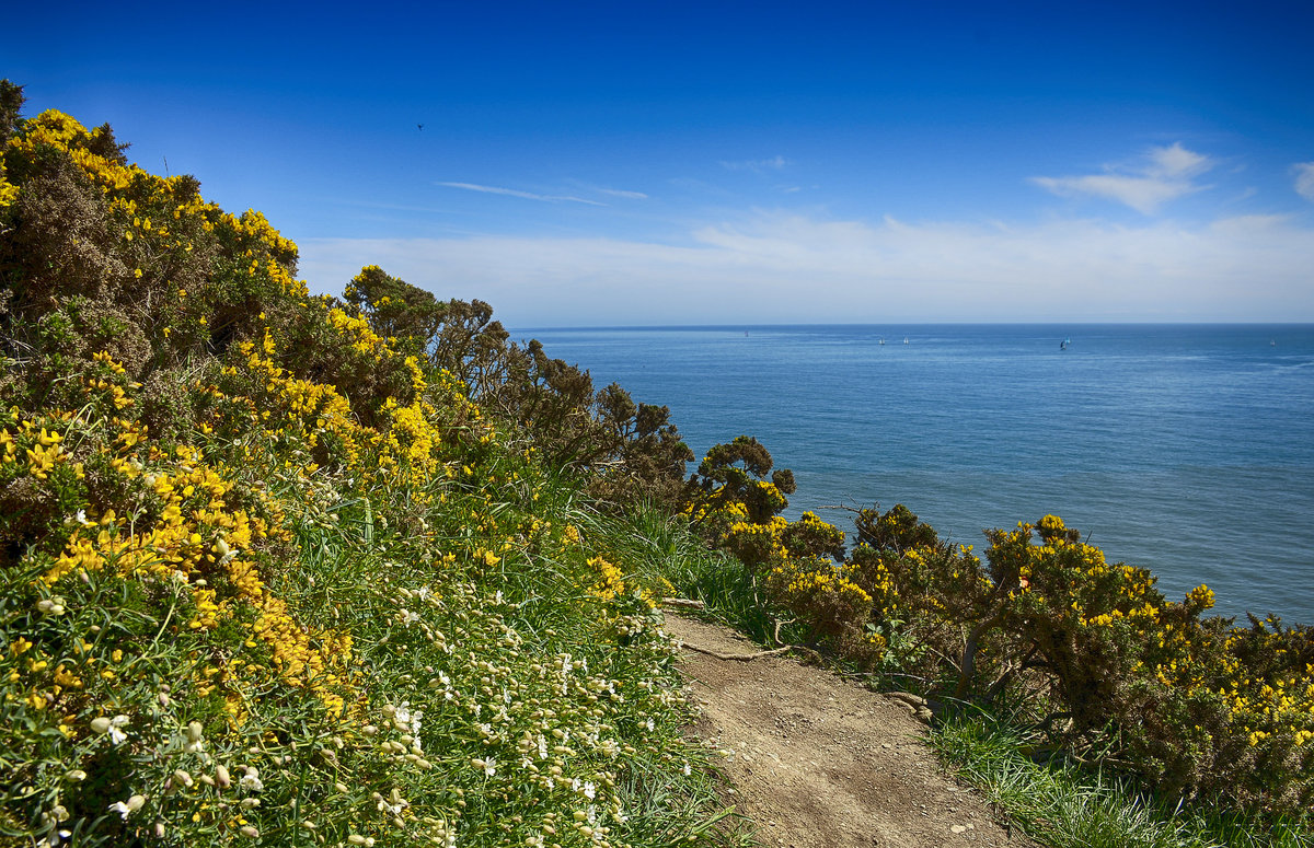 Frühling im Naturgebiet vor »The Summit« am Howth Cliff Walk - Irland. Aufnahme: 12. Mai 2018.