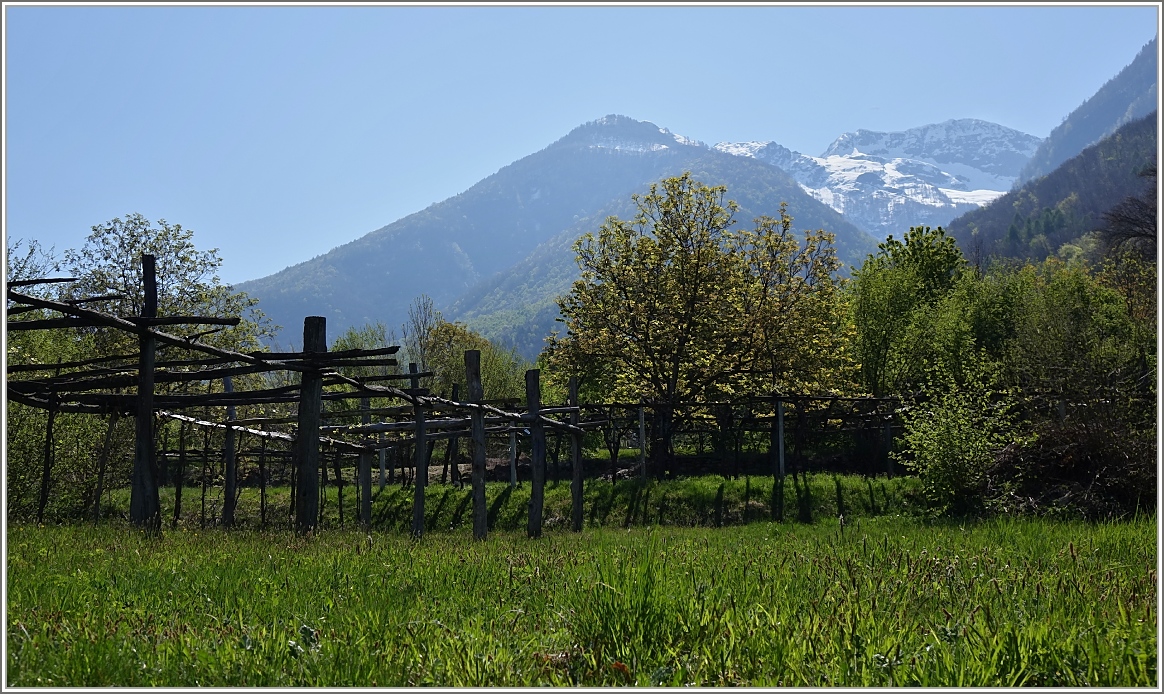 Frühling im Valle Vigezzo bei Trontano.
(14.04.2014)