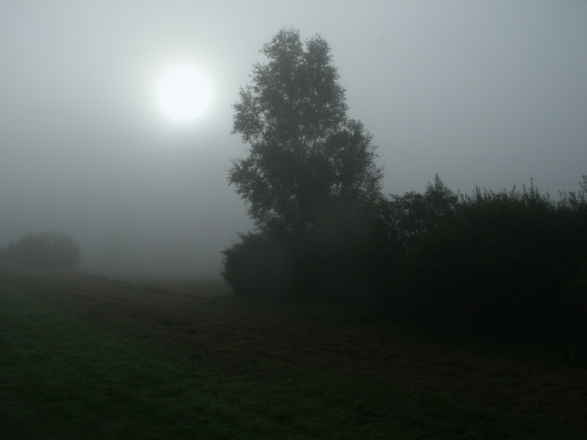 Frhnebel am 21.September 2013 ber Rgen.