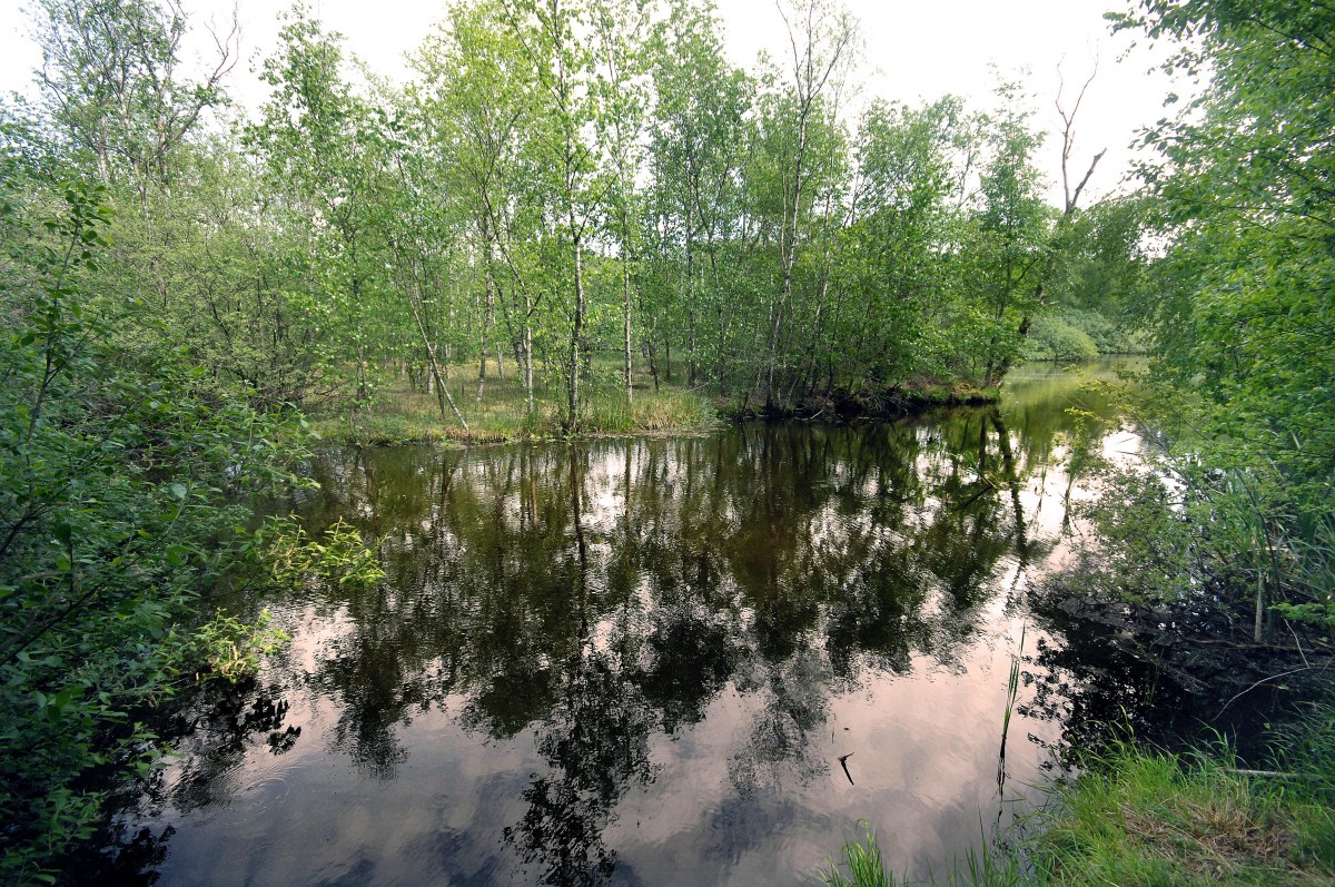 Fuglesøen (»Vogelsee«) in Vojens (Woyens), Sønderjylland/Nordschleswig. Aufnahme: Mai 2012.