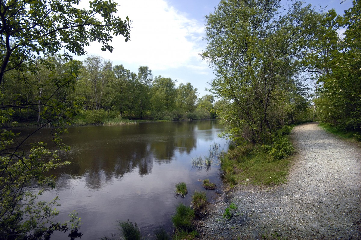 Fuglesøen (»Vogelsee«) in Vojens (Woyens), Sønderjylland/Nordschleswig. Aufnahme: Mai 2012.