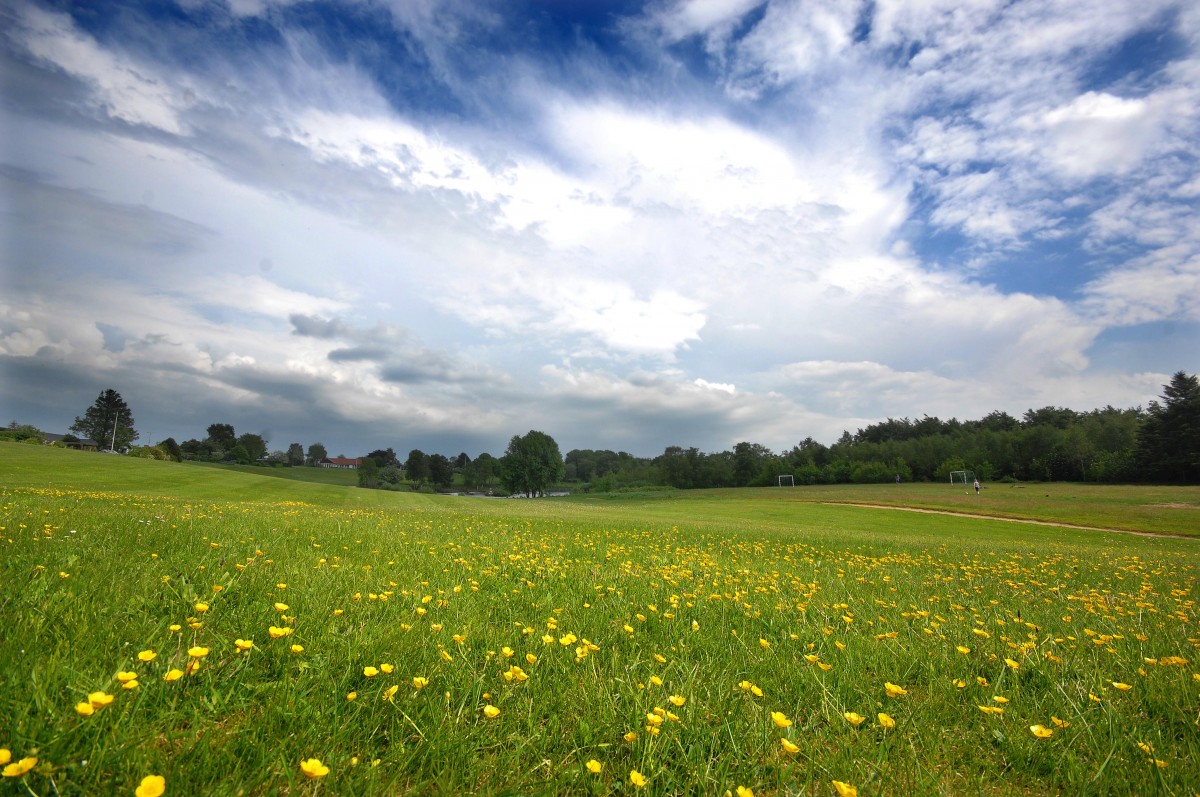 Fuglesøparken südlich von Vojens (Auf deutsch: Woyens) in Dänemark. Aufnahmedatum: 18. maj 2013.