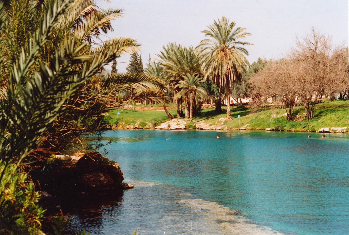 Gan haSchloscha ist ein israelischer Nationalpark am Nordrand der Gilboa-Berge. Kern des Parks sind drei ineinander übergehende Thermalpools mit Wasserfällen und Steinbrücken. Das 28 Grad warme Thermalwasser erlaubt ganzjährigen Badebetrieb. Aufnahme: Februar 1988 (digitalisiertes Negativfoto).