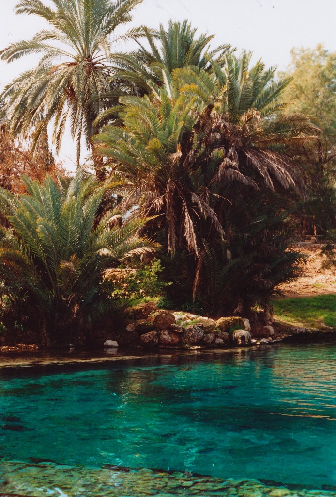 Gan HaShlosha Nationalpark  in Israel. Im westlichen Teil des Parks steigt aus der Tiefe mit konstanter Temperatur von 28° Celsius Quellwasser auf, was auch ein Schwimmen im Winter möglich macht. Aufnahme: Februar 1988 (digitalisiertes Negativfoto).