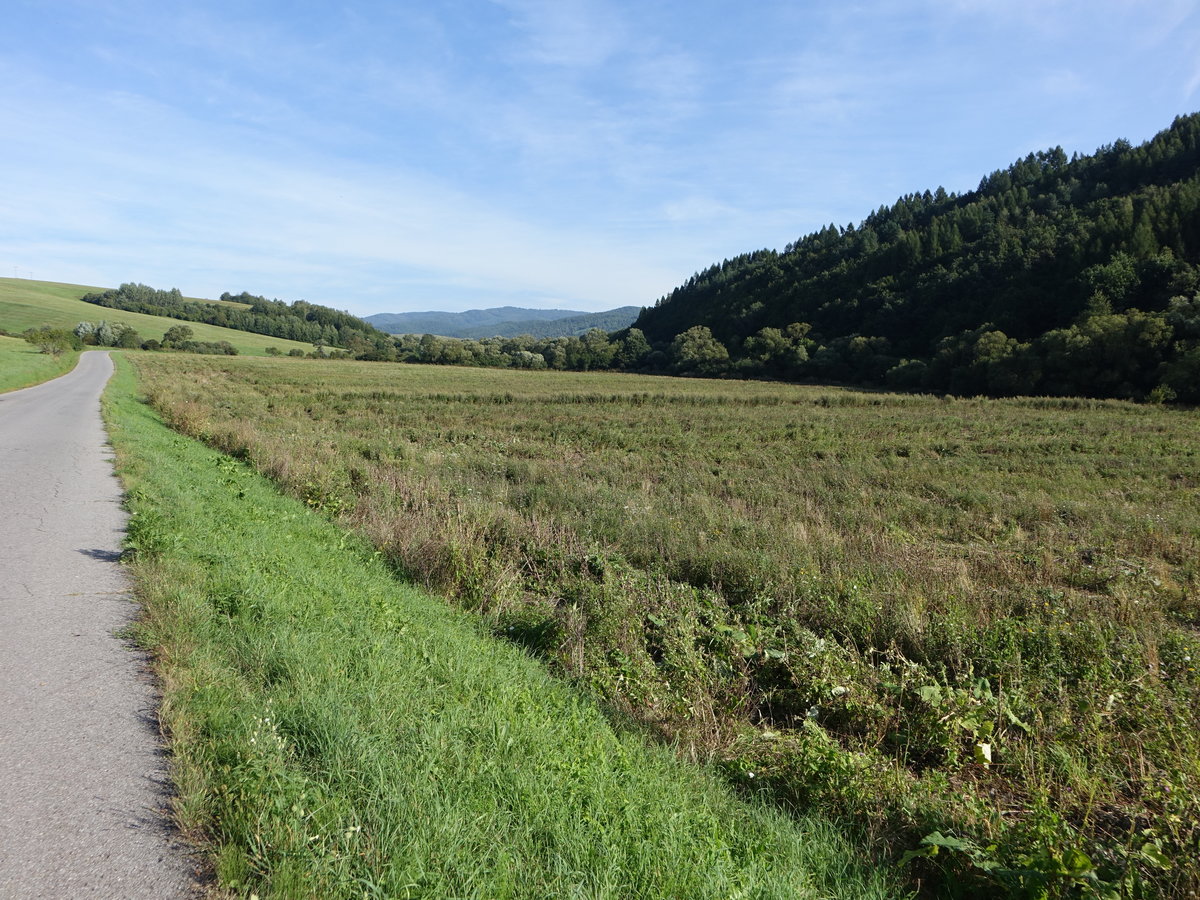 Gebirge Bukovské vrchy bei Kalna Roztoka (31.08.2020)