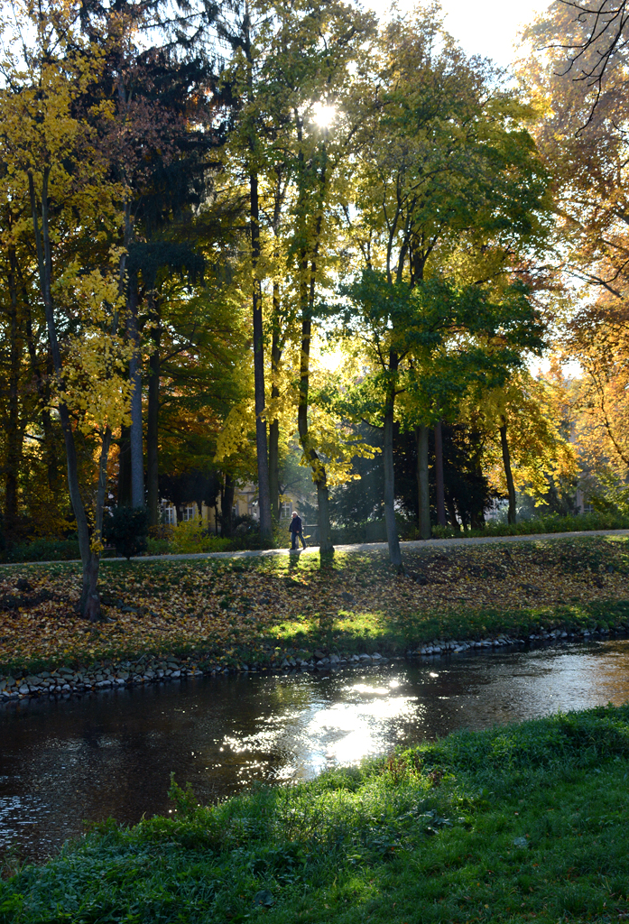 Gegenlicht durch Herbstbäume am Ahrufer in Bad Neuenahr - 27.10.2015