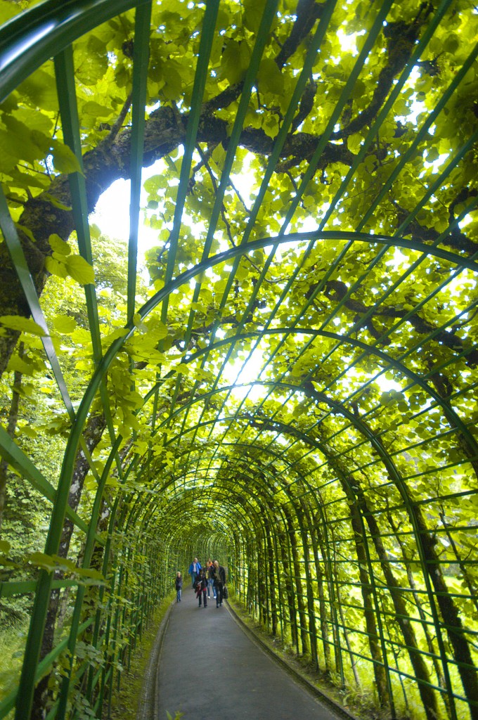 Gehweg im Schlosspark Lindenhof bei Oberammergau. Aufnahme: Juli 2008.