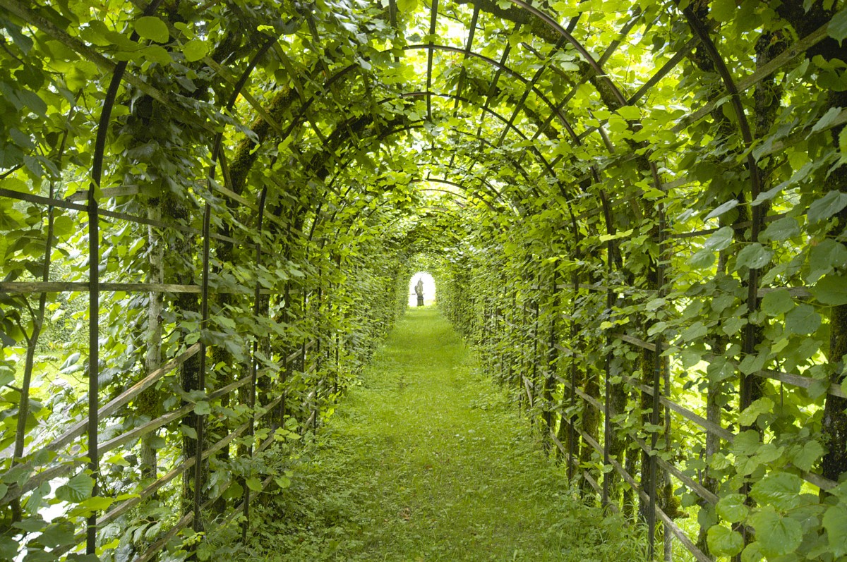 Gehweg im Schlosspark Lindenhof bei Oberammergau. Aufnahme: Juli 2008.