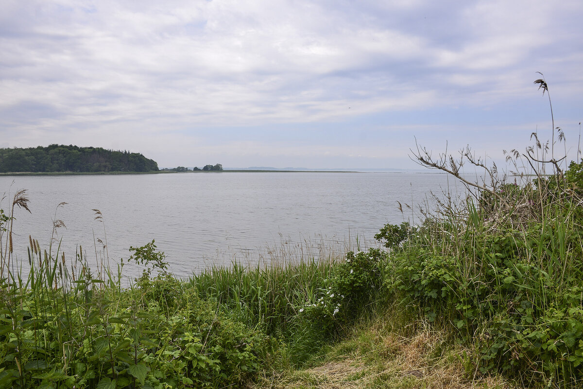 Geltinger  Bucht vom Naturschutzgebiet Geltinger Birk aus gesehen. Aufnahme: 7. Juni 2021.