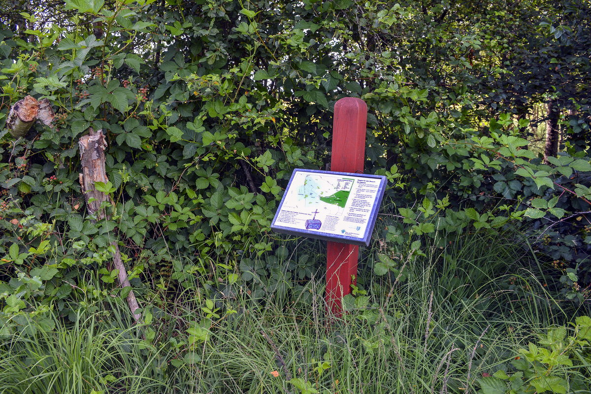 Genau hier überquert man die deutsch-dänische Grenze im Naturschutzgebiet Frøslev-Jardelund Moor. Das Foto wurde eineinhalb Meter innerhalb Dänemarks aufgenommen. Aufnahme: 30. Juli 2023.