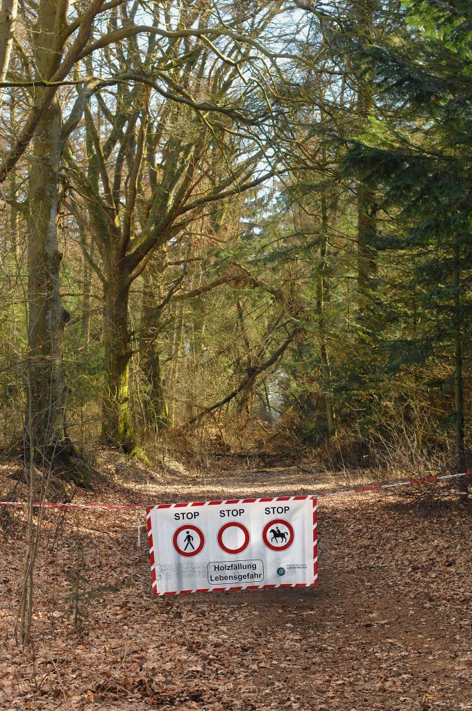 Gesperrter Waldweg nach einem Sturm im Lindewitter Wald. Aufnahme: März 2012.