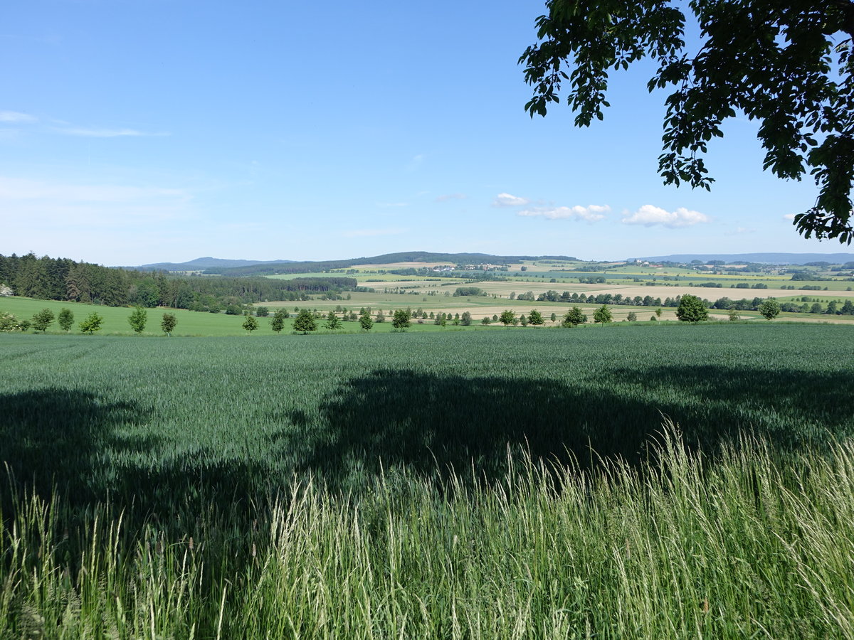 Getreidefelder bei Belcice, Bezirk Jihočeský kraj (02.06.2019)
