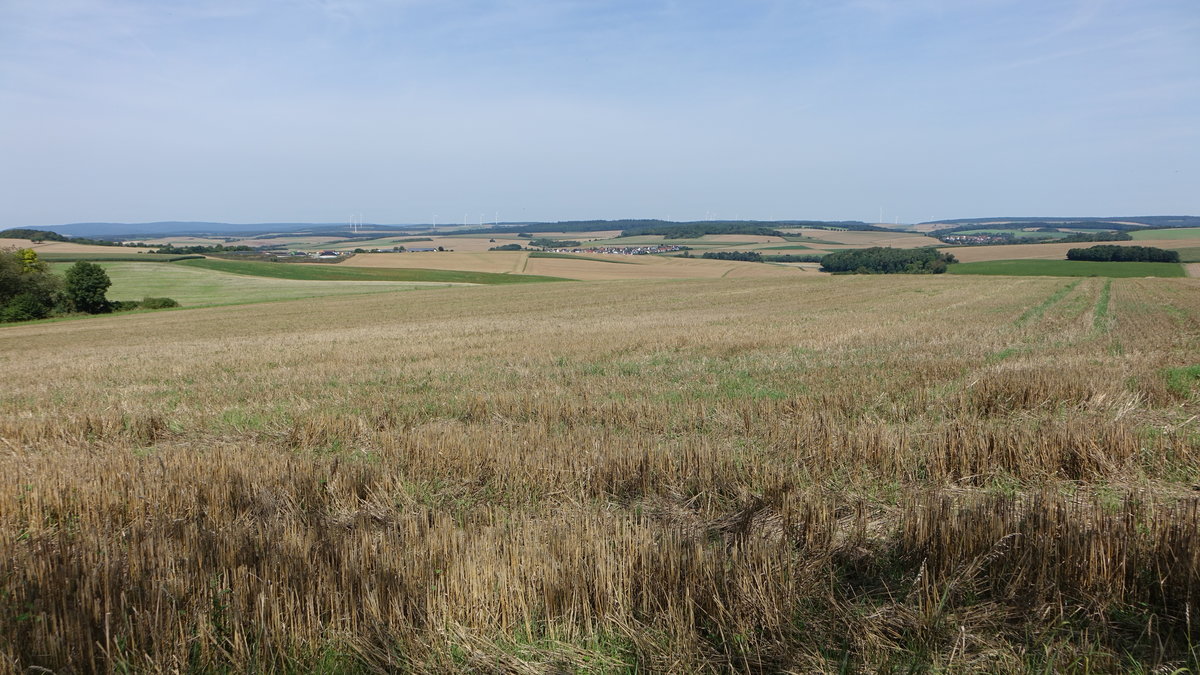 Getreidefelder bei Birkenfeld, Unterfranken (15.08.2017)