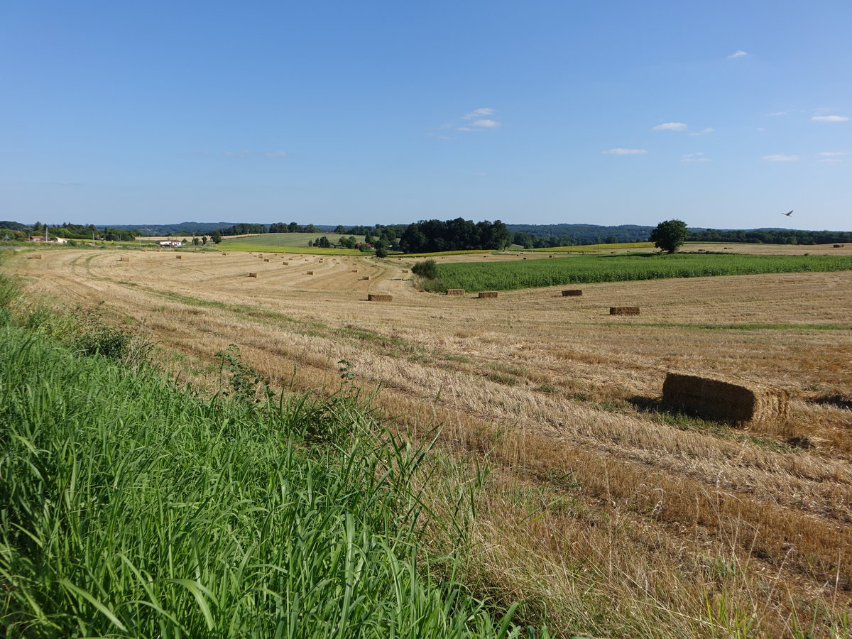 Getreidefelder bei Saint-Quentin-de-Chalais, Charente (23.07.2018)