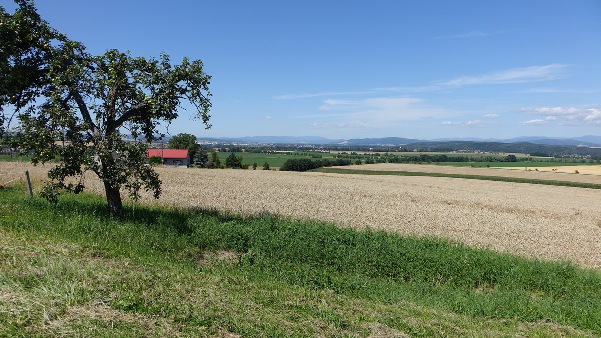 Getreidefelder in den nördlichen Ausläufern des Drahaner Berglandes bei Bouzov (01.08.2020)