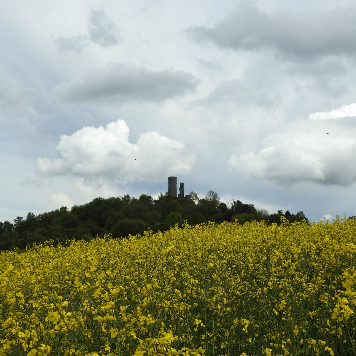 GEWITTERSTIMMUNG IM HESSISCHEN WESTERWALD MIT RUINE MERENBERG
Hinter RENNEROD/WW. zweigt die Bundesstrasse SIEGEN-LIMBURG nach WEILBURG/LAHN ab,
und der WESTERWALD zeigt hier seine romantische Seite,
hier am 12.5.2017 bei Gewitterstimmung mit Burgruine MERENBERG im Hintergrund,
1646 während des 30-jährigen Krieges zerstört.....